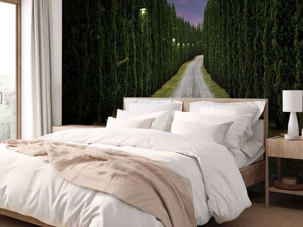 Cypress om kvelden
