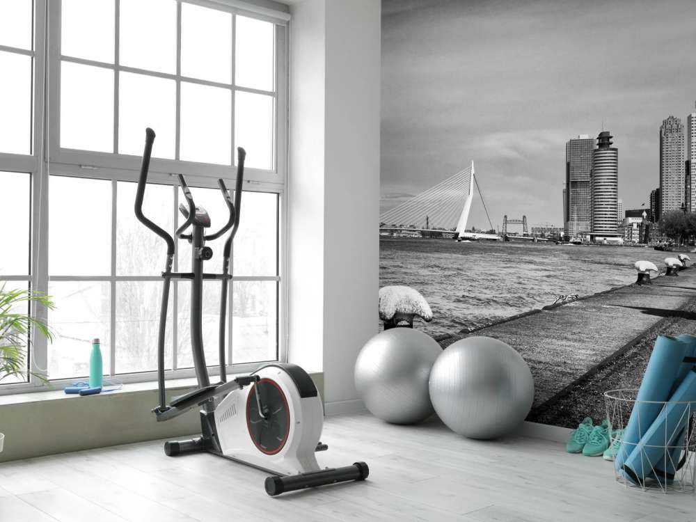 Verdens havneby Rotterdam