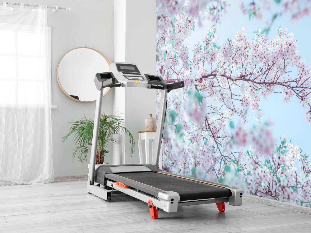 Sesambrød Nærbilde Hvitløkspalmer med blå himmel Palmetrær om sommeren Søt godteri