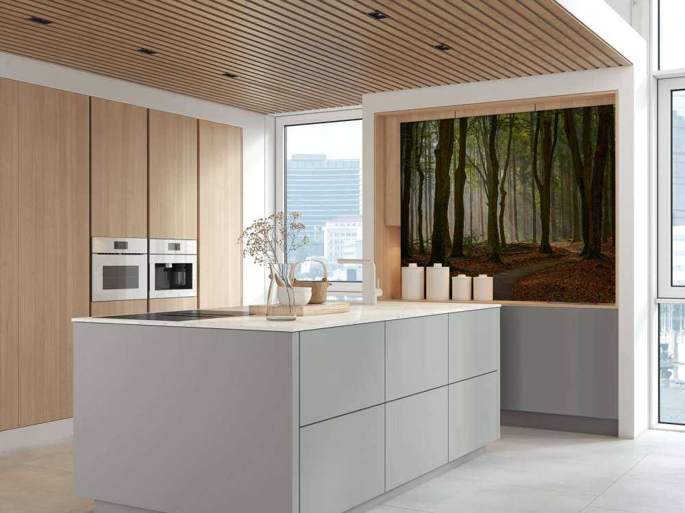 Solstråler på sti gjennom skogen