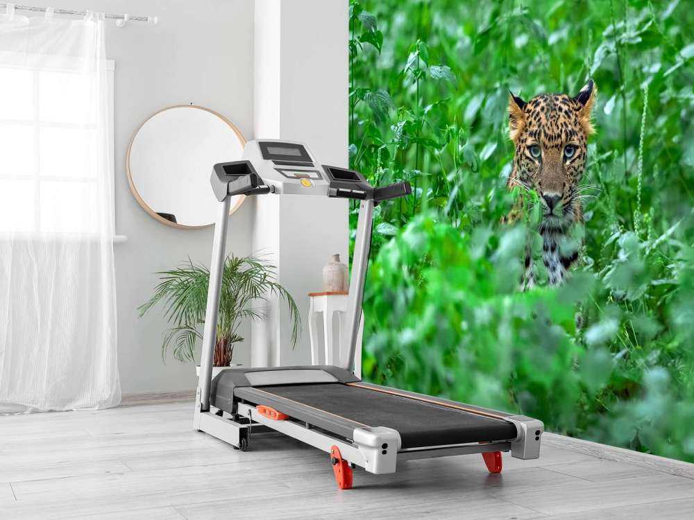 Leopard i skogen