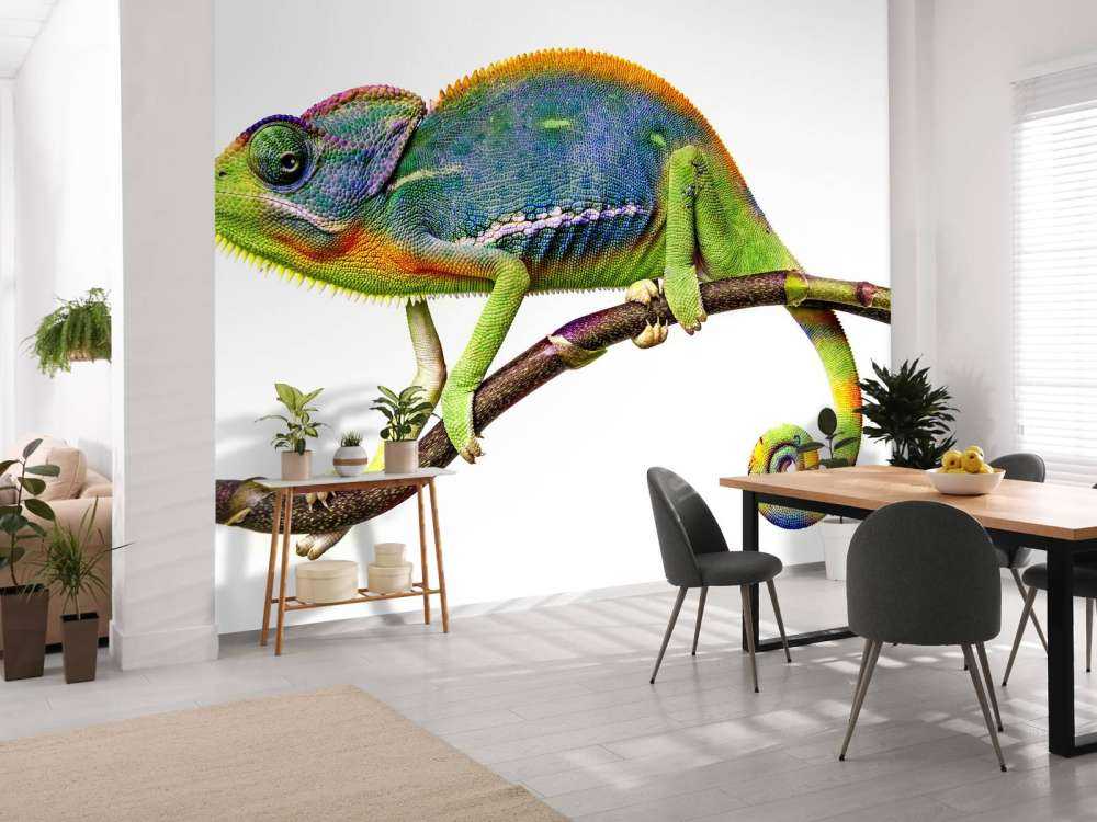 Kameleon