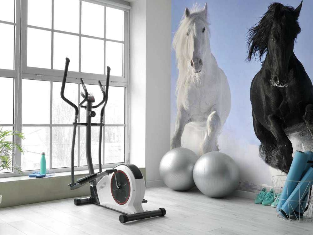 Hvit og en svart hest