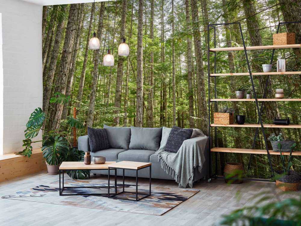 Tynne trær i skogen