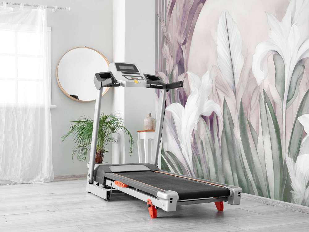 Iris ved soloppgang Geen