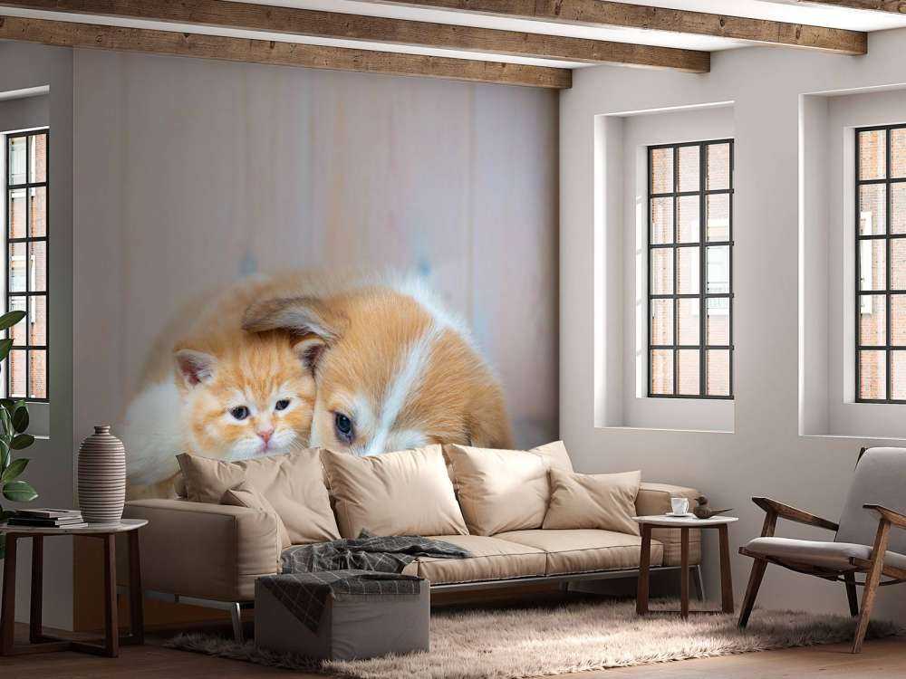 Kat tapet. Bilde av en kattunge og en valp.