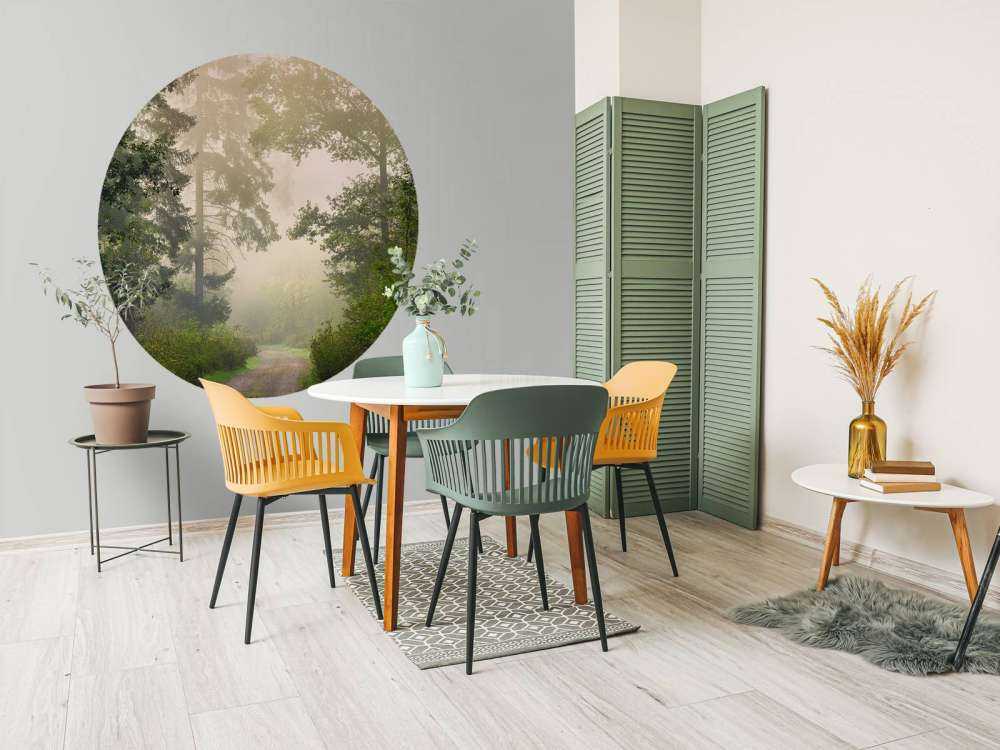 Veien gjennom tåkete skog