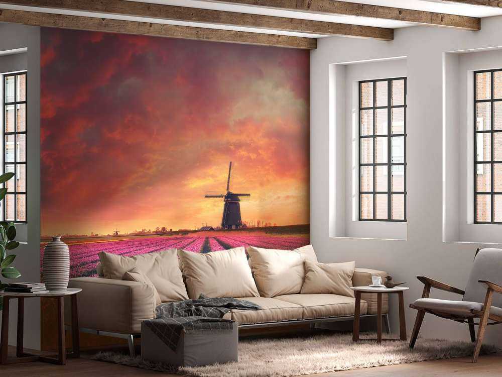 tulipanner med mølle