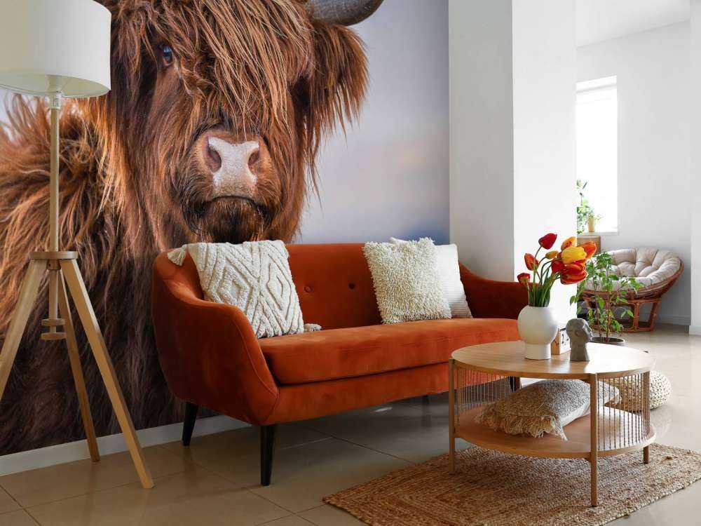 Stirrer det skotske høylandet