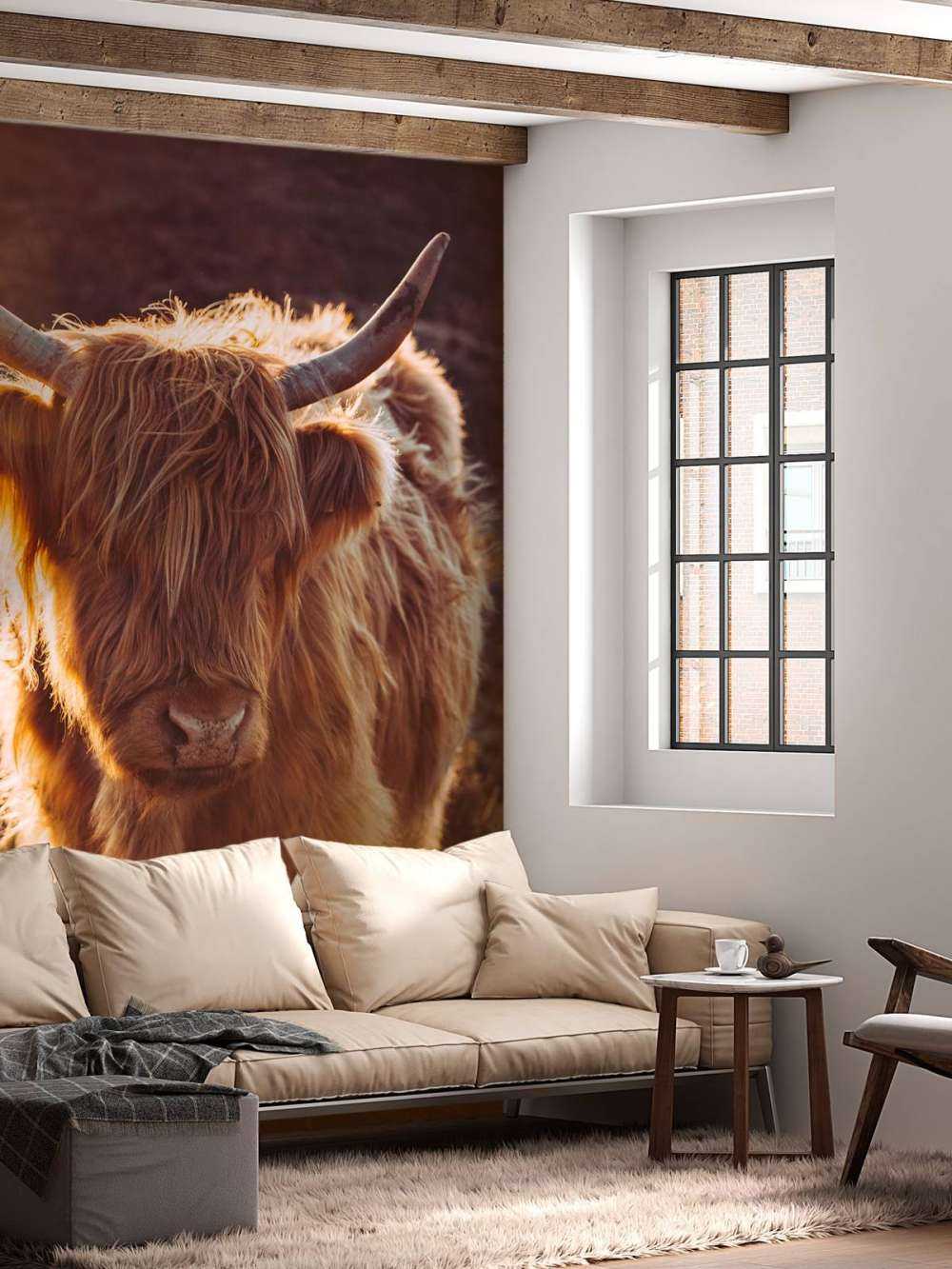 Det skotske høylandet i solen