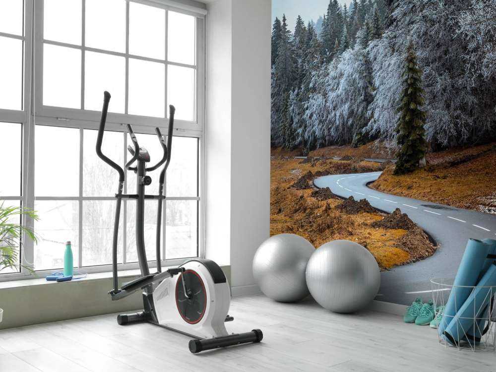 The road and the frozen trees