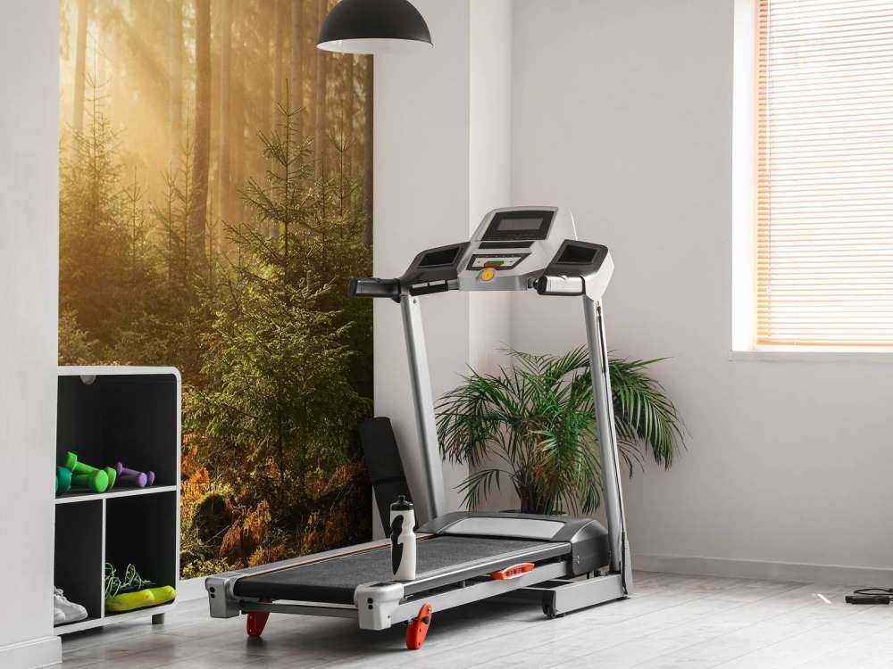 Solstråler gjennom skogen