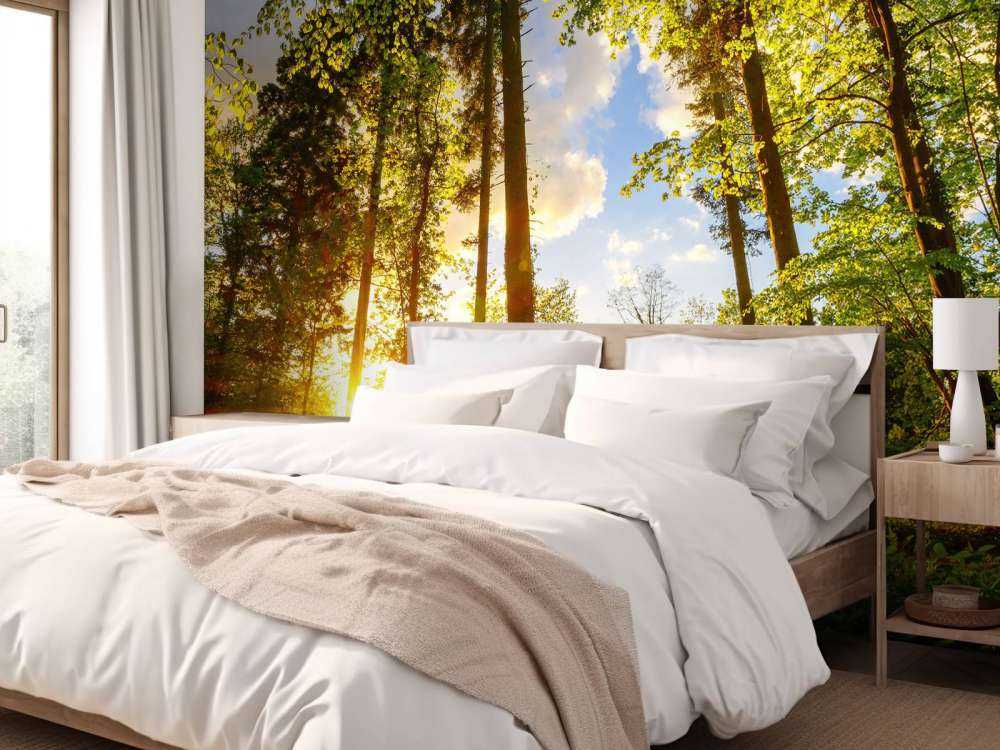 Solnedgang gjennom trærne