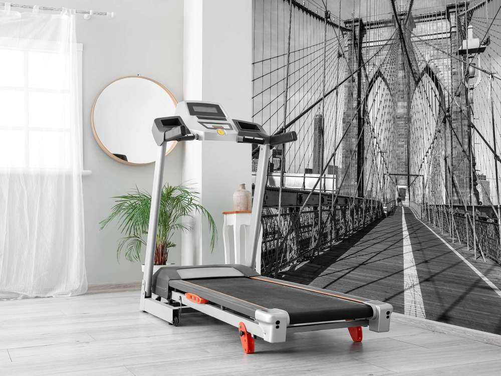 Bridge i svart og hvitt