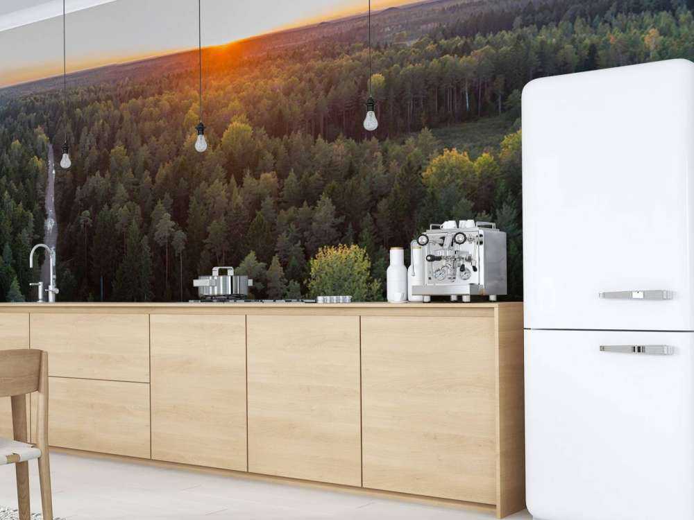 Luftfoto av høsttrær