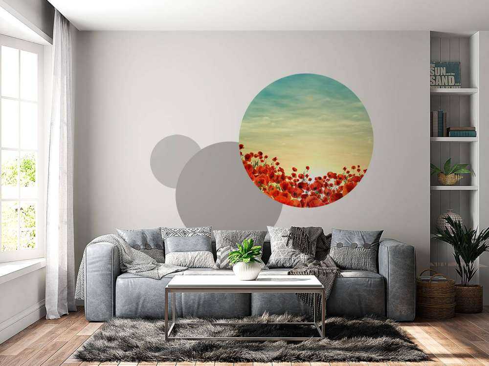 Valmuer med solnedgang