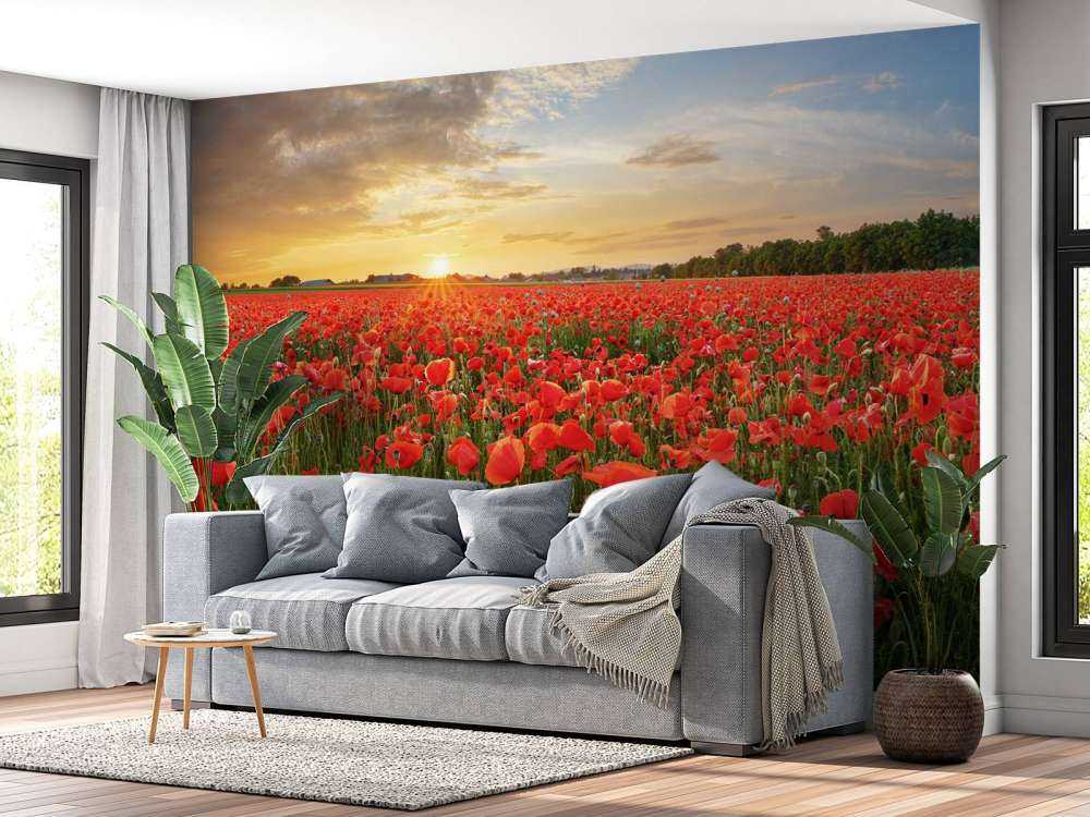 Solnedgang med valmuer