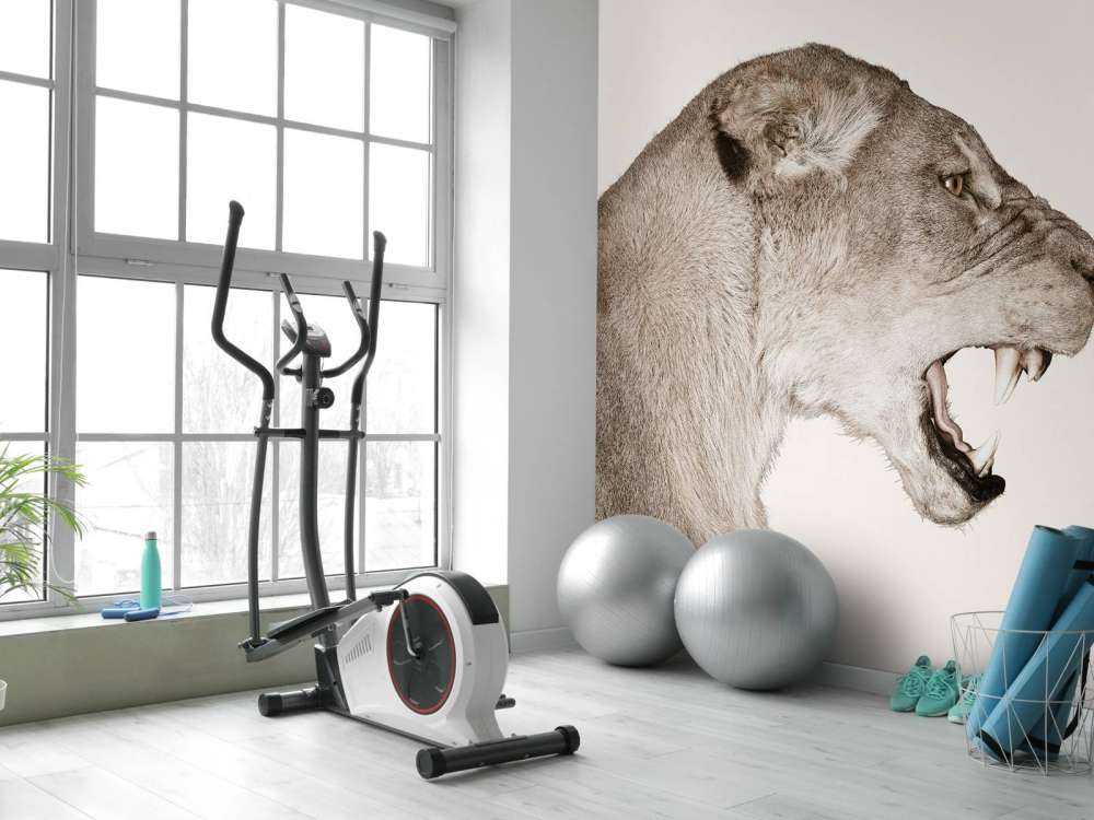 Løvinnen sett fra siden, offwhite