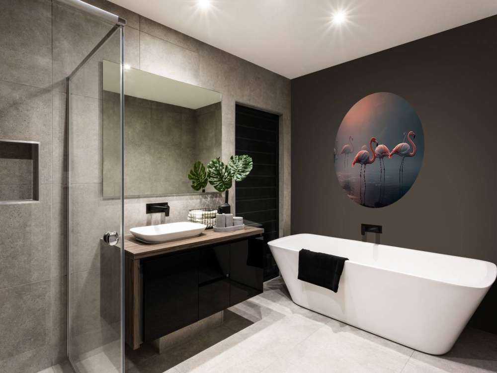 Tåkete Daggry Flamingoer