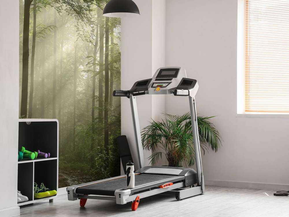 Grønn skog i tåken