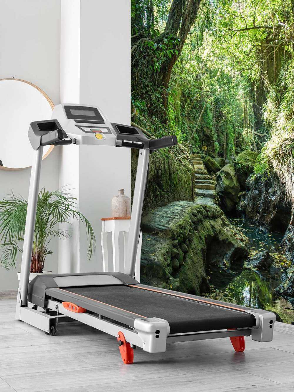 Sti gjennom jungelen