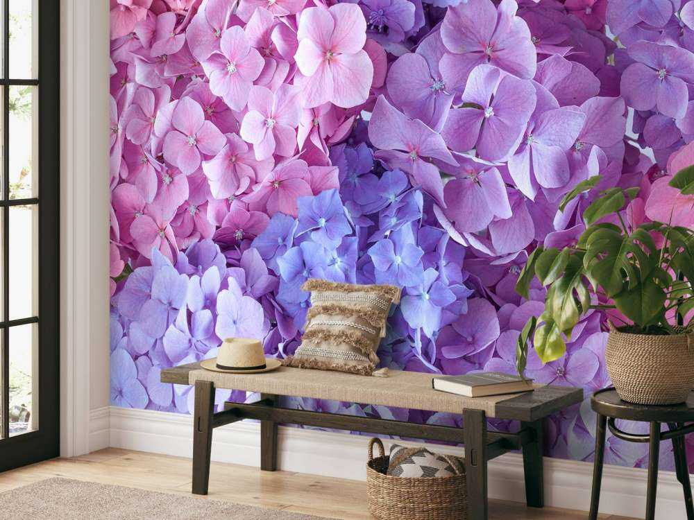 Farverige hortensiaer