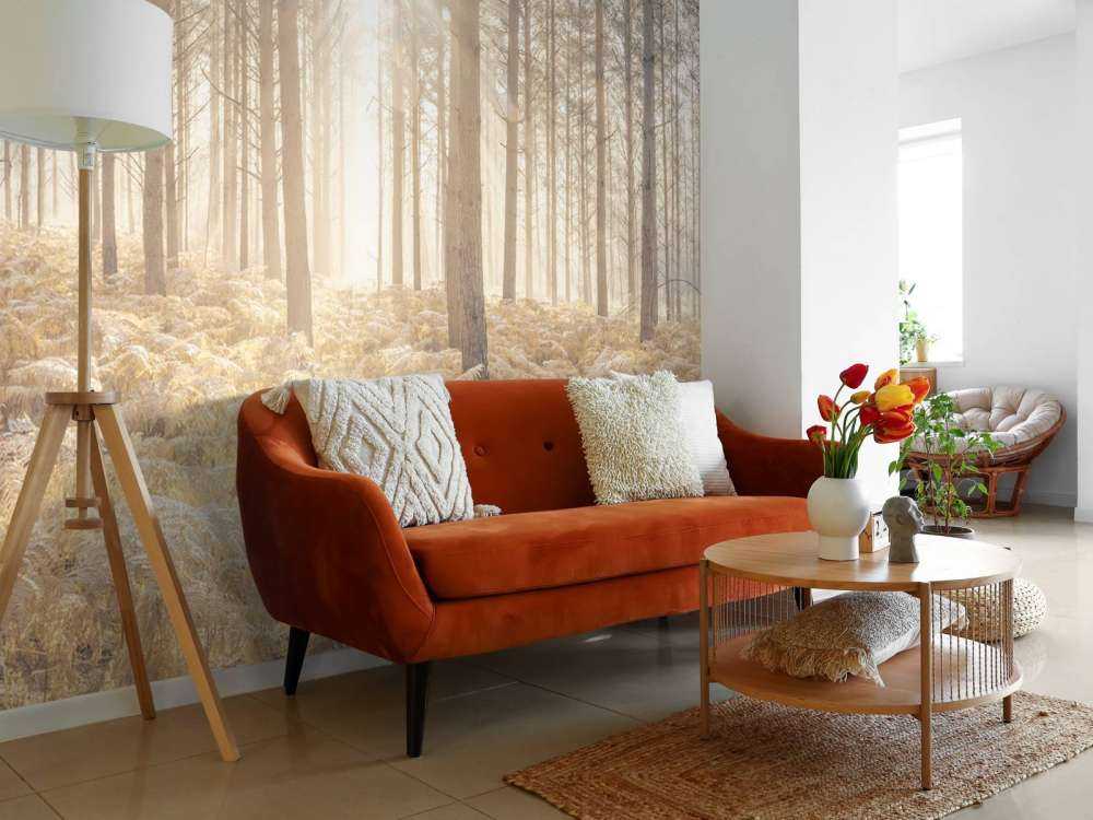 Solstråler i den kolde skov