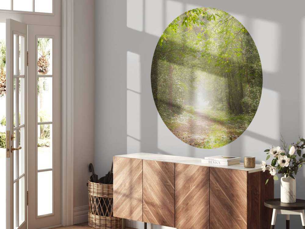 Sti gennem tåget skov