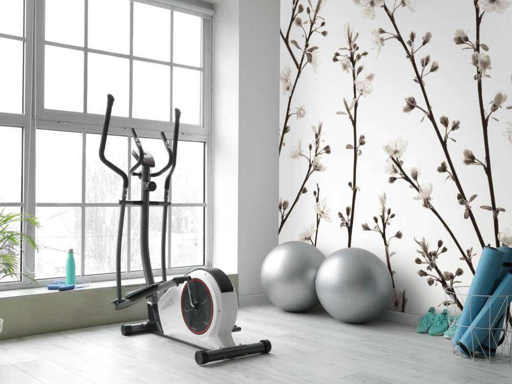 Kirsebærblomstgrene