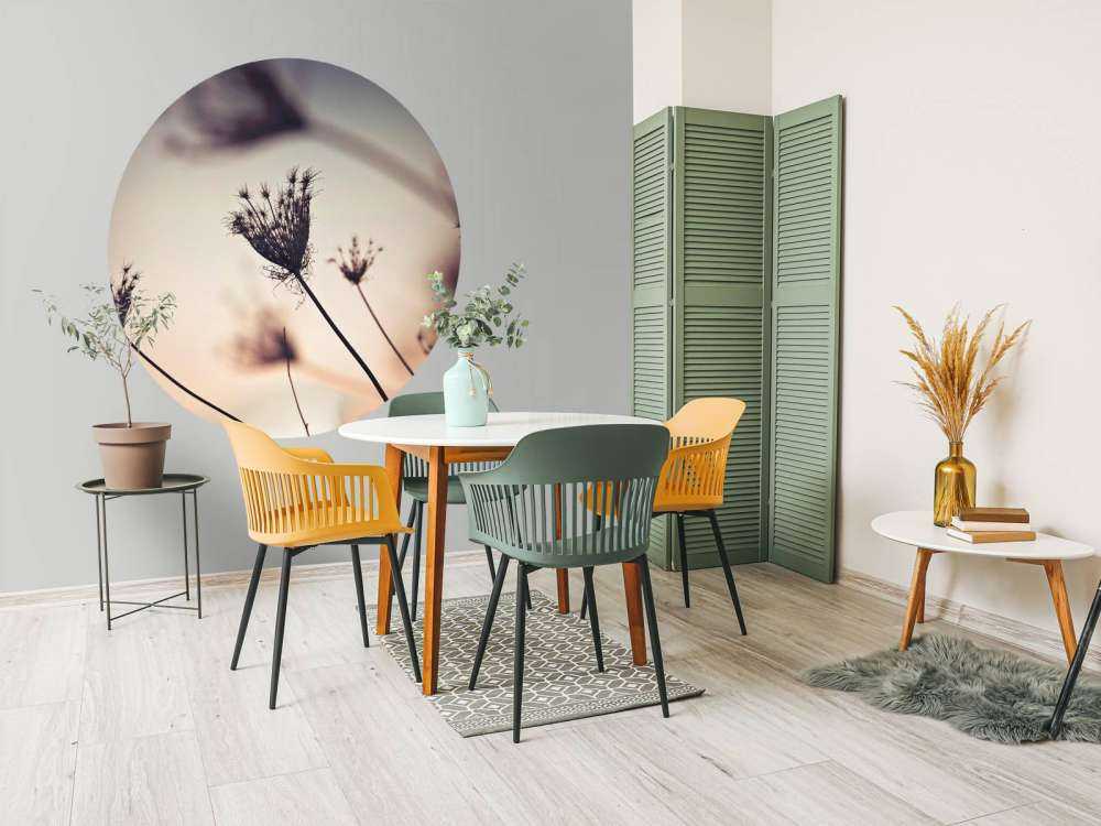 Silhuetter af planter