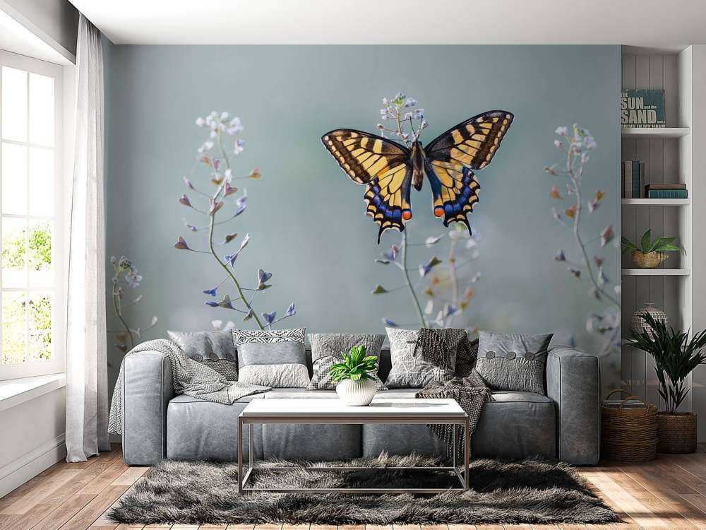 Swallowtail skønhed