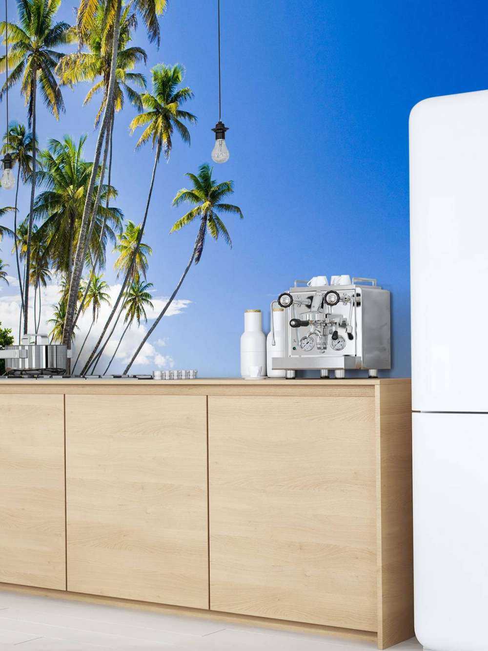 Nordkysten af Trinidad