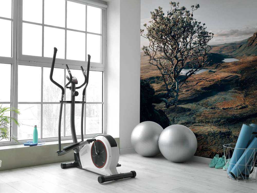 Begyndelsen af __dagen