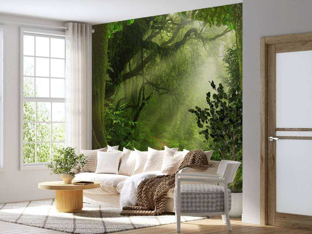 Jungel med solstråler