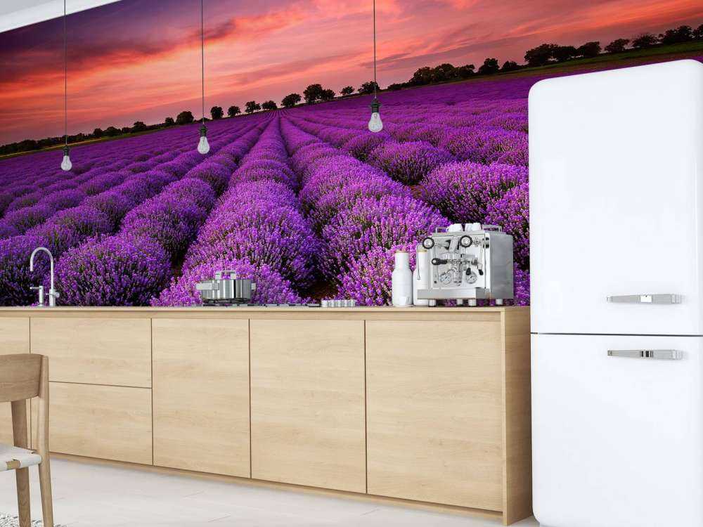 Lavendel felt