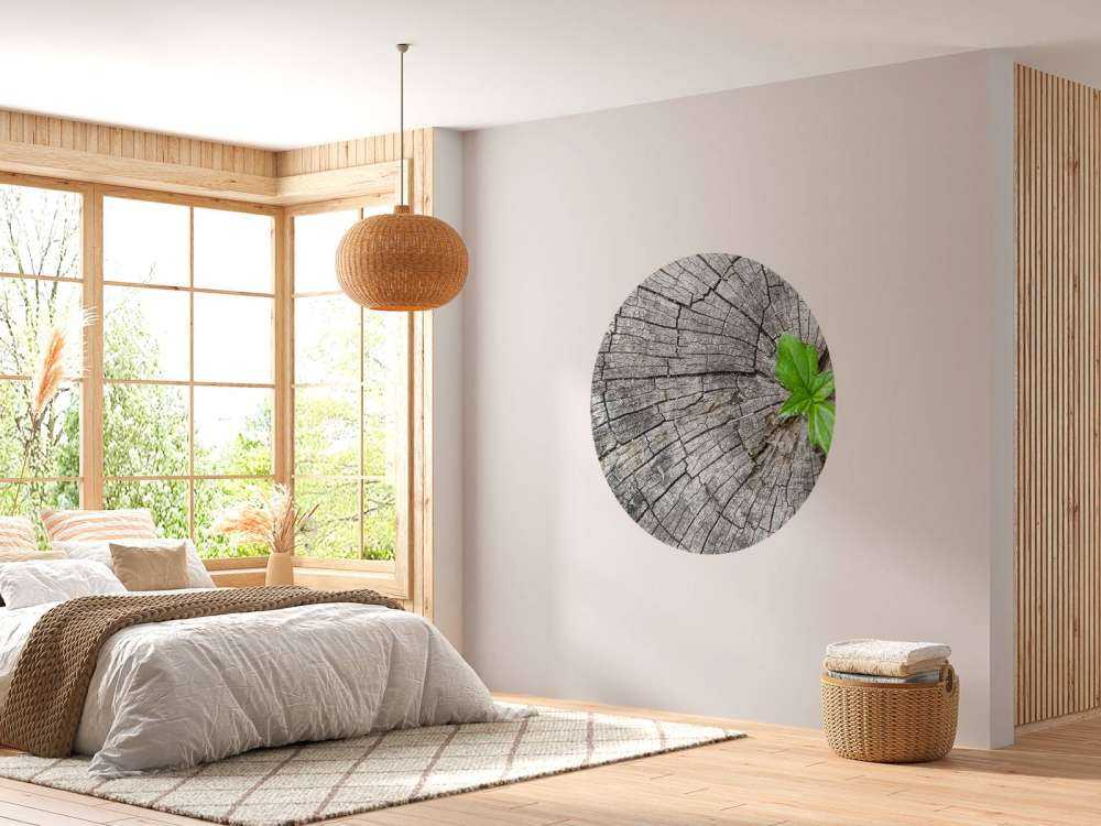 Diameter af en trætamme
