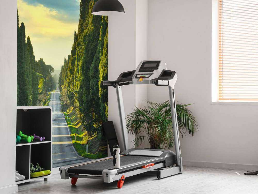 Vej med høje træer