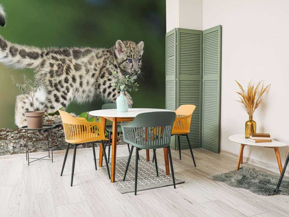 Sne leopard cub