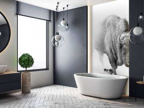 Bison sort, hvid