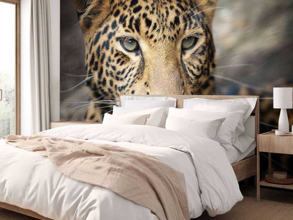 Luk op af en leopard