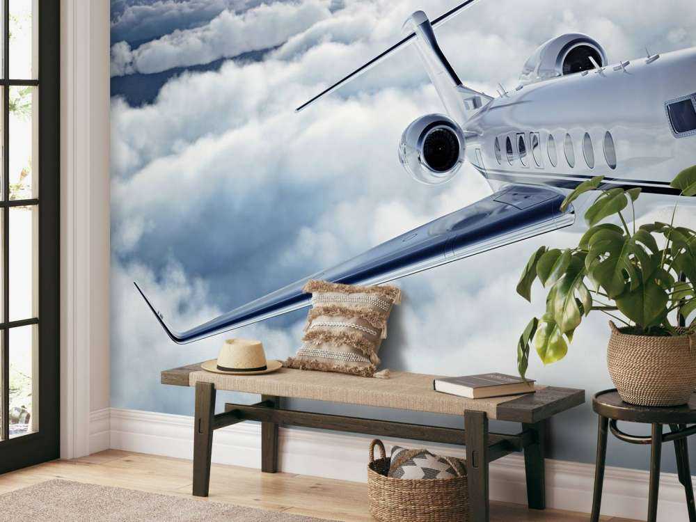 Privat fly i luften