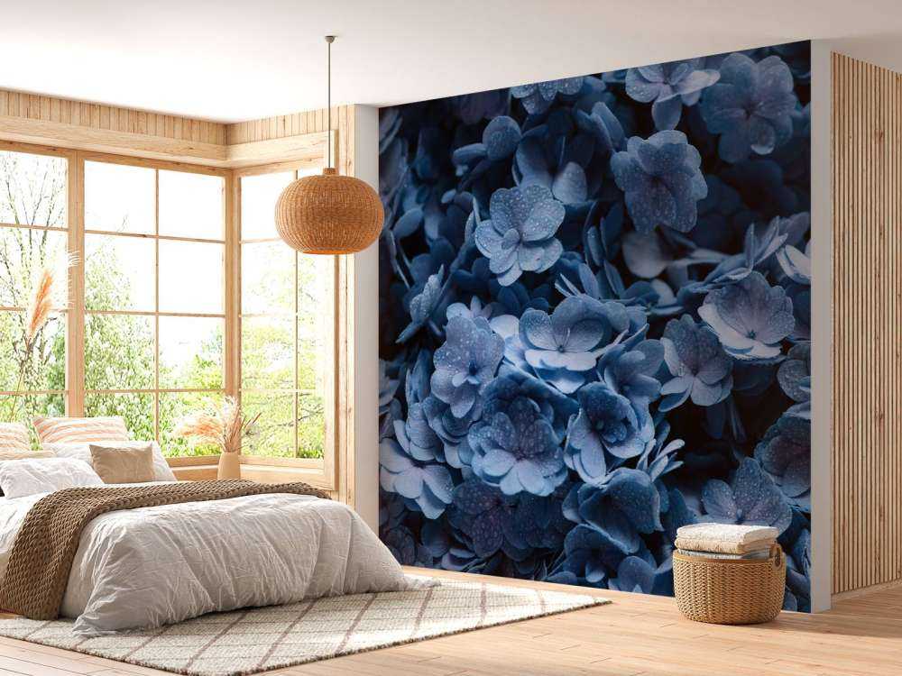 Nærbillede af hortensia