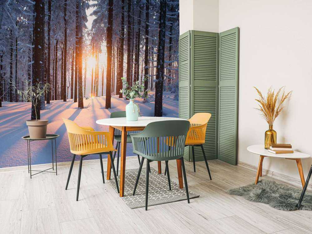 Solnedgang i en vinterskov