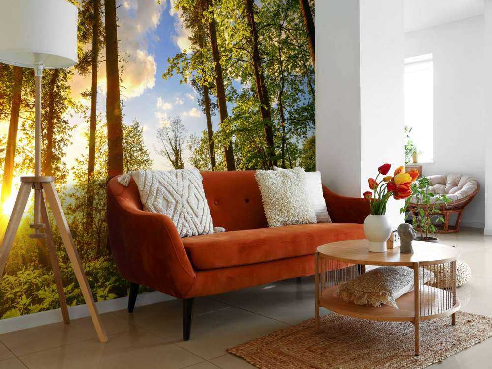 Solnedgang gennem træerne