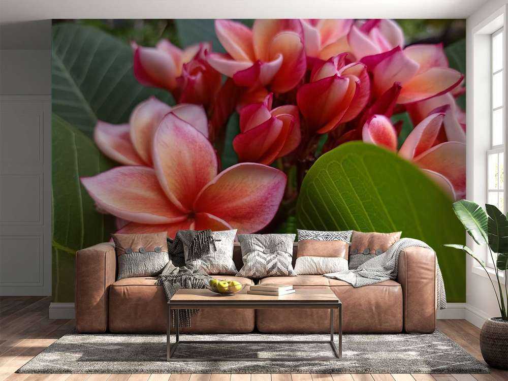 Tropiske blomster