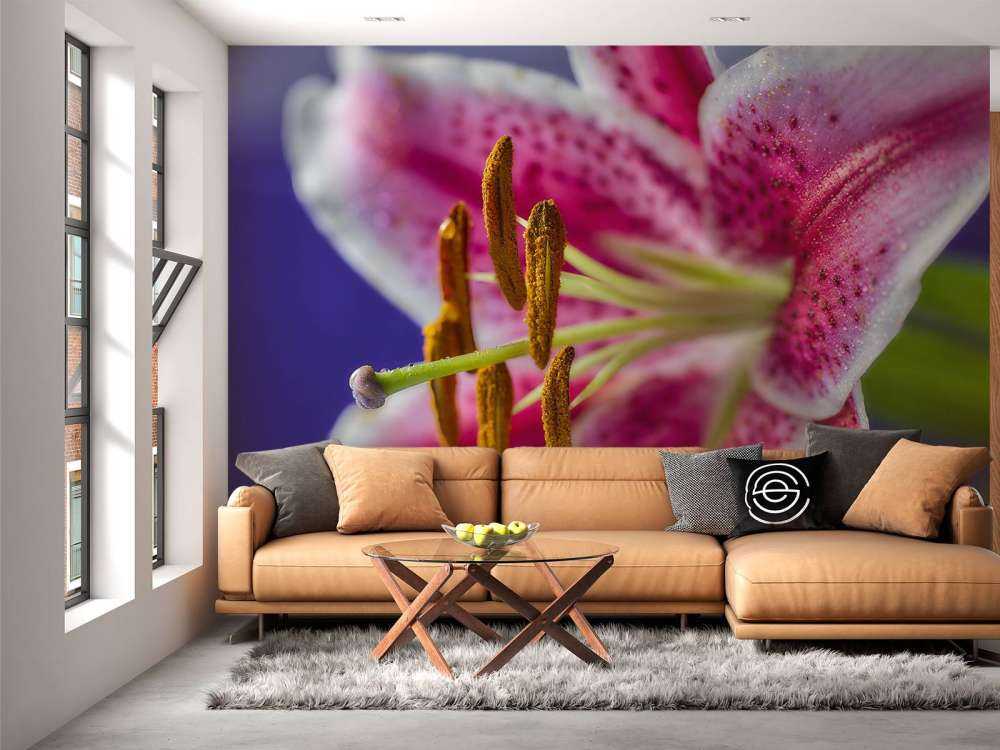 Nærbillede af lyserød blomst