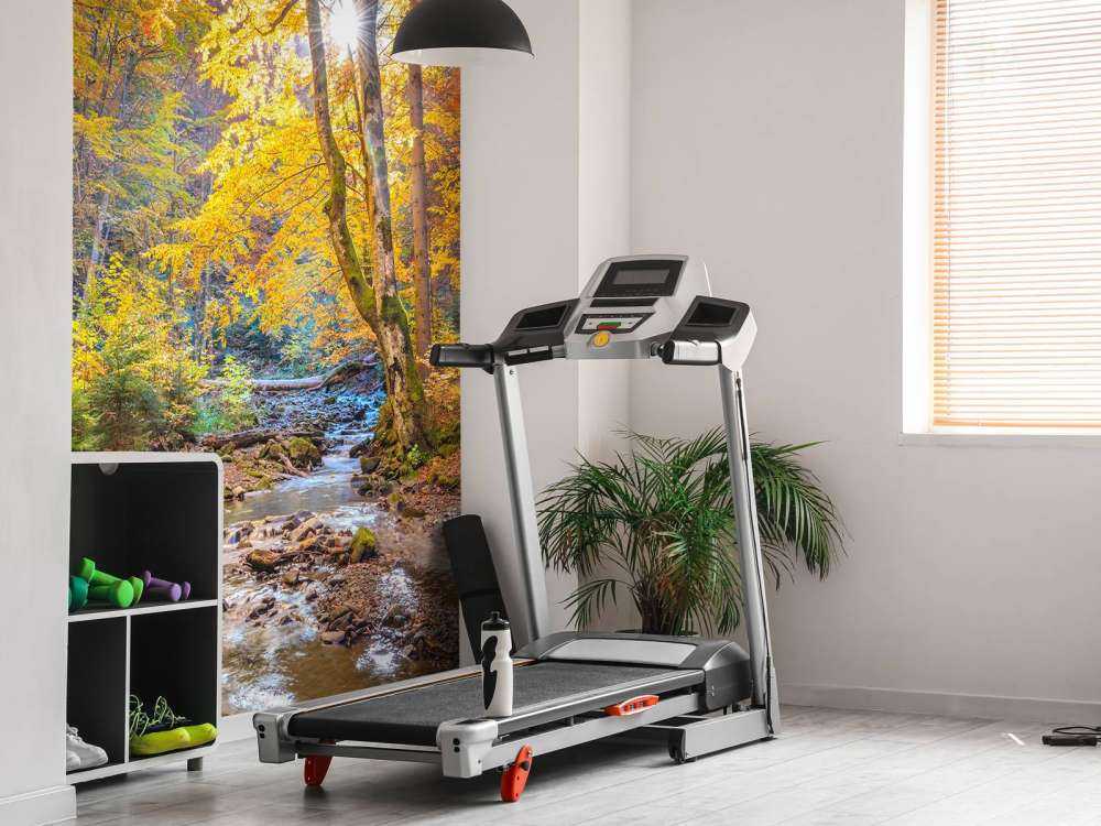 Efterår i en vild skov