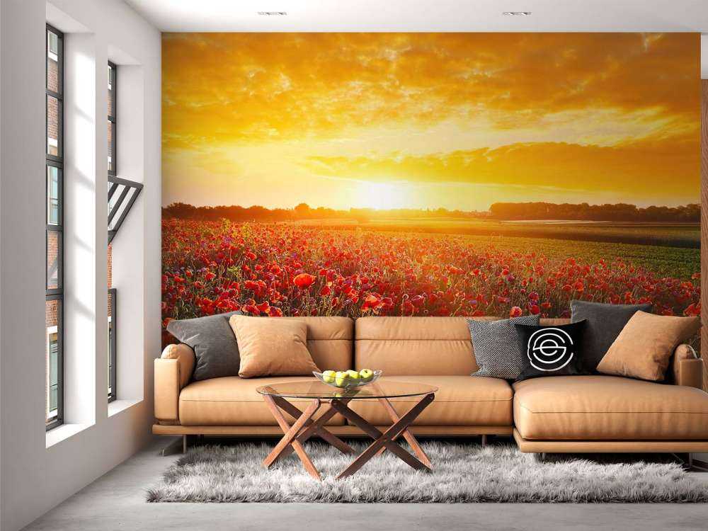 Valmuer og solnedgang