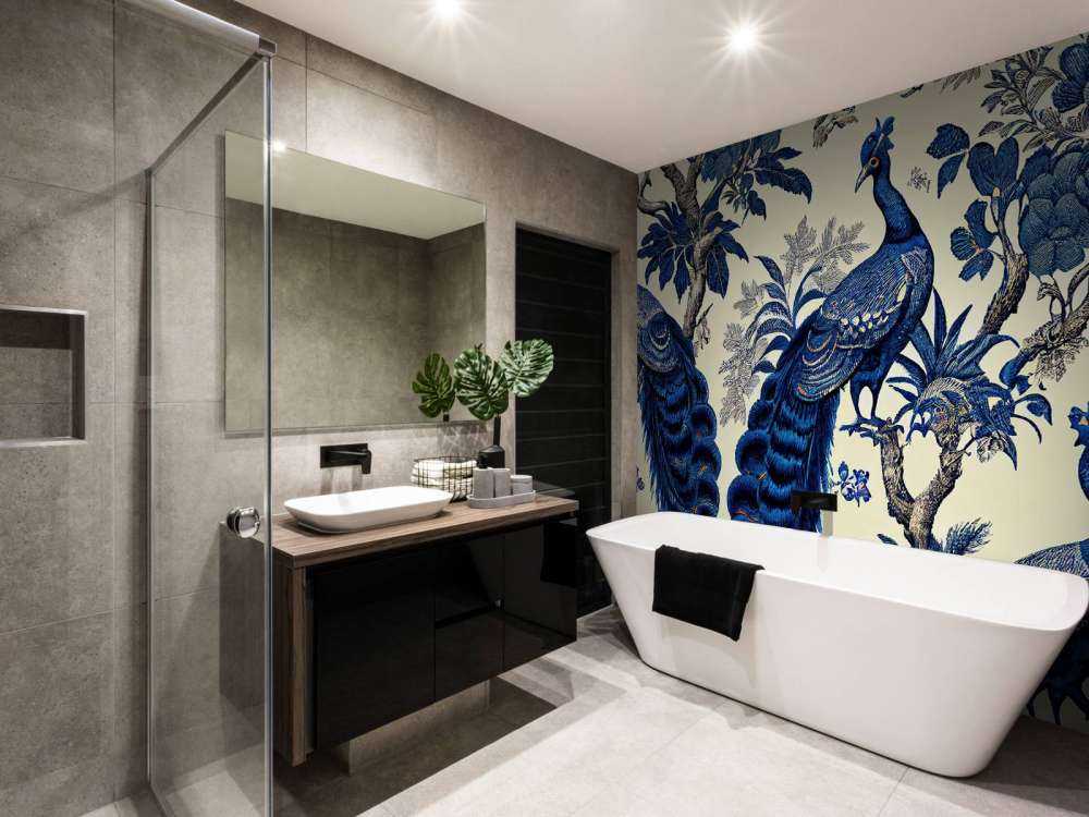 Kongeblå påfuglens pragt