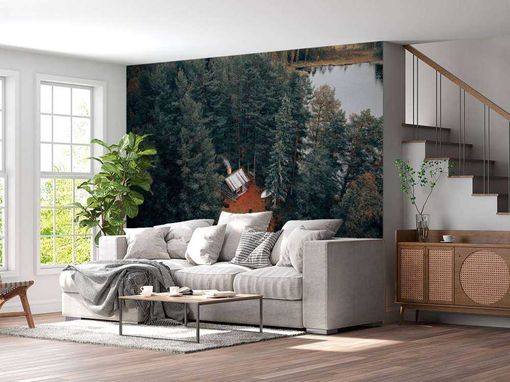 Hytte omgivet af skov og søer